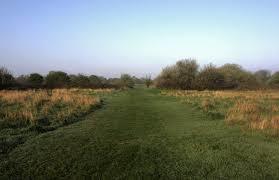 Hounslow Heath